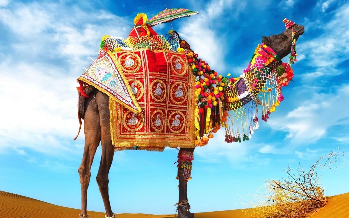 Rajasthan Cultural Tour